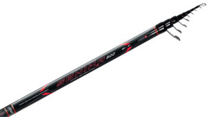 Colmic SONIKA 300 5,00mt (30gr)